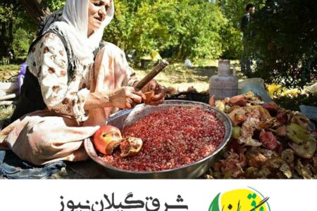 بخشی از امنیت غذایی کشور در گیلان تامین می‌شود