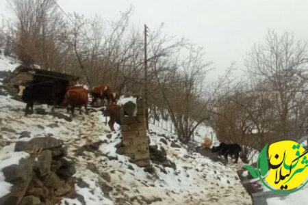 بارش برف در بیش از ١٠٠ روستای بخش رحیم آباد رودسر