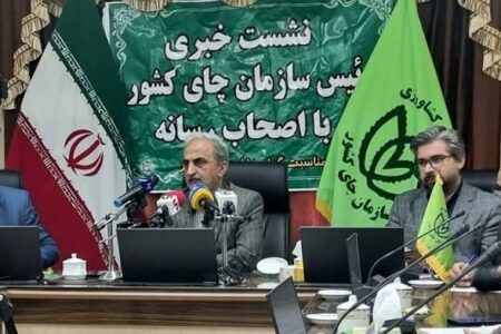 پرداخت ۶۲ درصدی مطالبات چایکاران/ احیاء ۸۰۰ هکتار از باغات