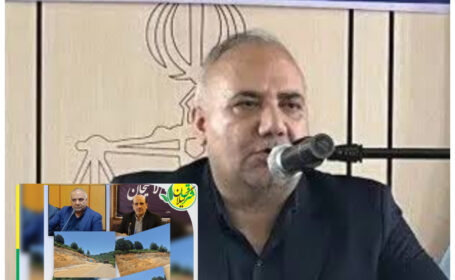 ورود دادستان لاهیجان به پرونده ساخت‌وساز در باغات چای بیجارباغ / دستور توقف موقت عملیات تا بررسی نحوه صدور پروانه