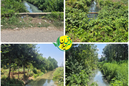 رودخانه لاهیجان قربانی شبکه ناقص فاضلاب