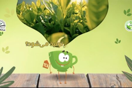 چای سیاه چگونه تولید می شود؟