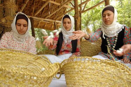 کارگروه تخصصی توسعه زنجیره ابریشم گیلان تشکیل شد