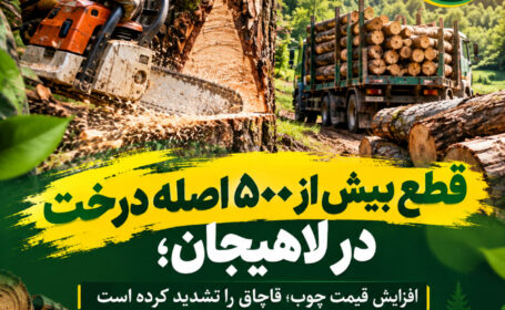 قطع بیش از ۵۰۰ اصله درخت در لاهیجان؛ افزایش قیمت چوب، قاچاق را تشدید کرده است قطع بیش از ۵۰۰ اصله درخت در لاهیجان؛ افزایش قیمت چوب، قاچاق را تشدید کرده است
